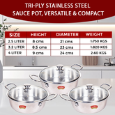 DesiDine Triply Stainless Steel Mini Sauce Pot/Mini Biryani Pot